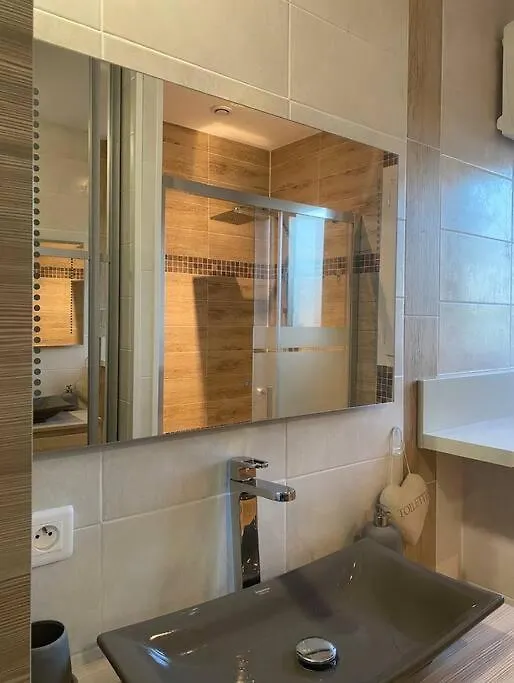 Appartement Mitoyen Avec 1 Chambre Auterive  Auterive (Haute-Garonne)